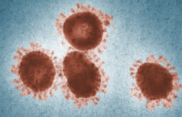 Microscopic Shot Of a Virus